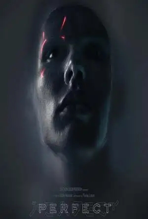 《完美》电影解说文案