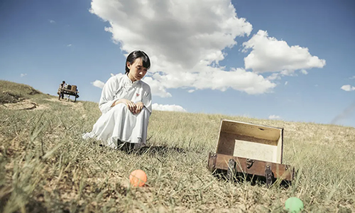 电影《驴得水》解说文案