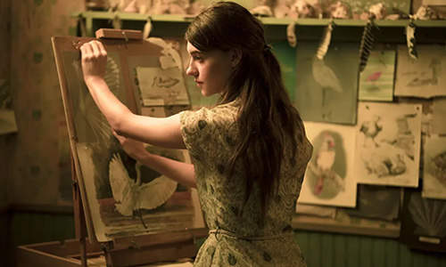 电影《沼泽深处的女孩》解说文案