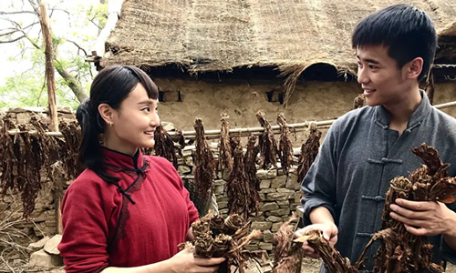 电影《把家虎》解说文案