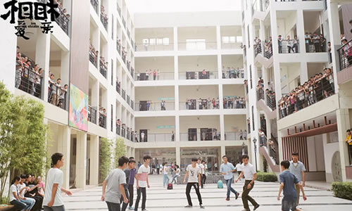 电影《相爱相亲》解说文案