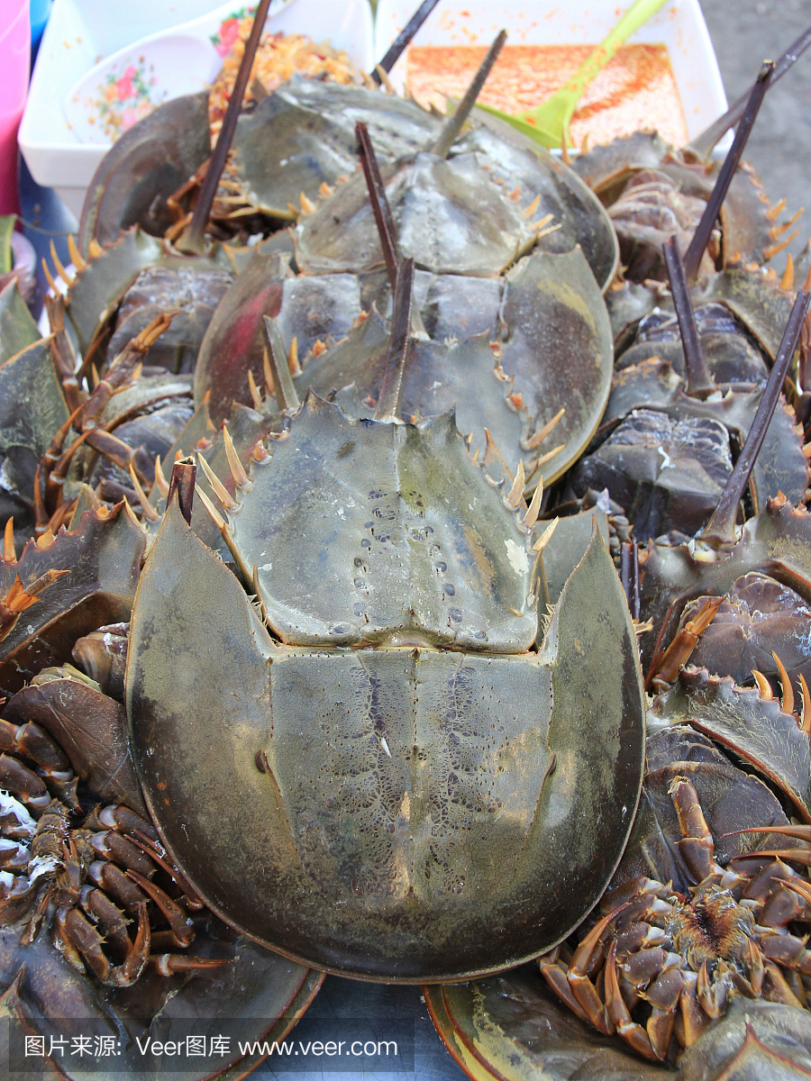 《马蹄蟹》电影解说文案