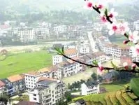 《桃源镇》电影解说文案