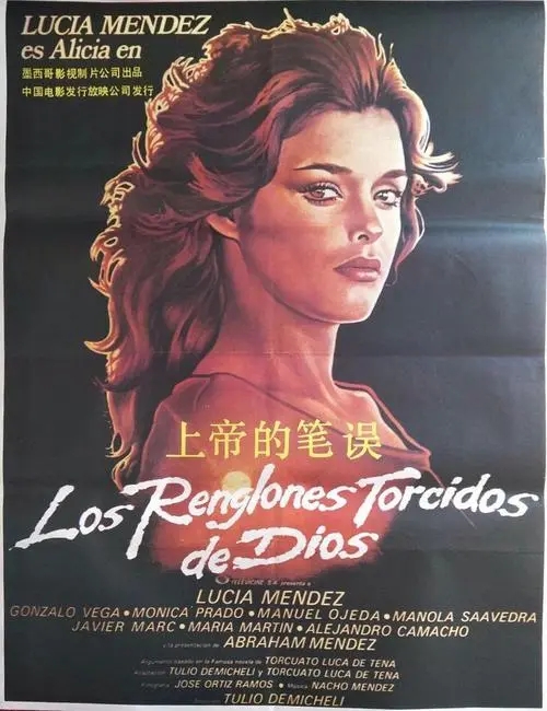 《上帝的笔误》电影解说文案