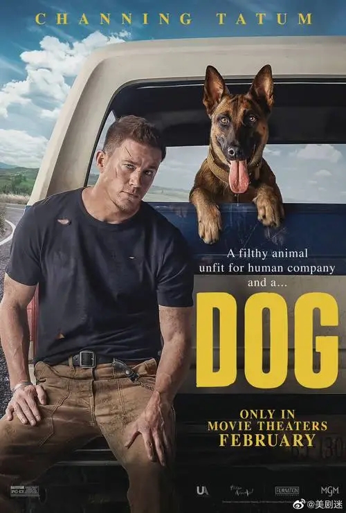 《忠犬》电影解说文案