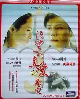 《渴望一份真爱的感觉》电影解说文案