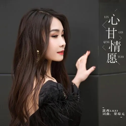 《心甘情愿》解说文案