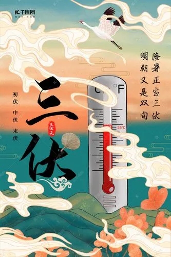 《三伏天》解说文案