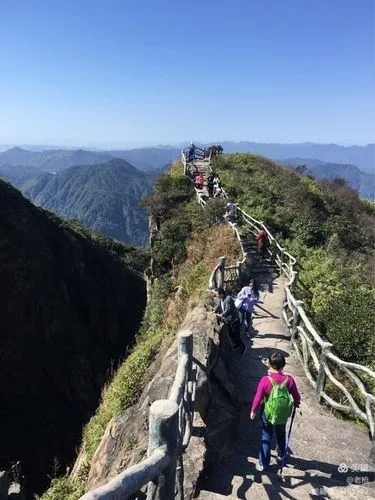 《蟒山》电影解说文案