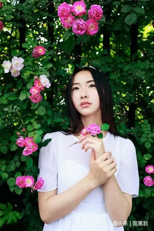 《待绽蔷薇》电影解说文案