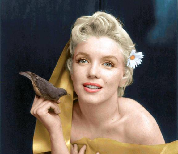 《金发梦露》电影解说文案