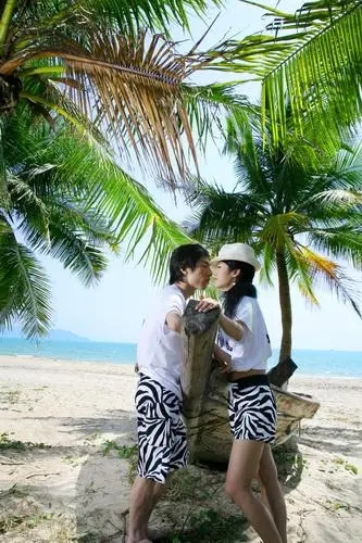 《夏日恋情》电影解说文案