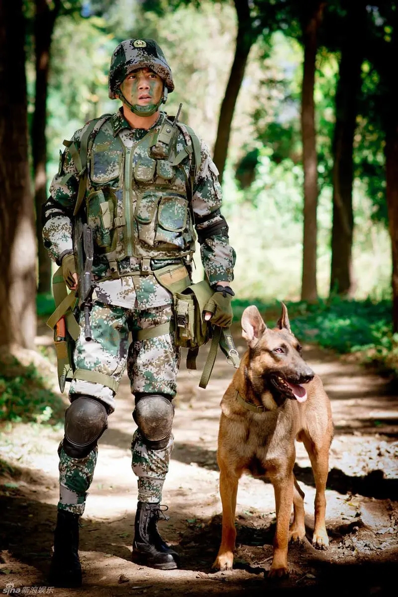 《神犬出击》解说文案