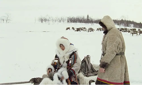 电影《极地重生》解说文案