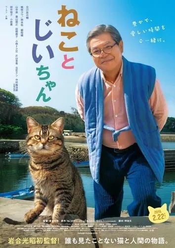 《猫与爷爷》电影解说文案