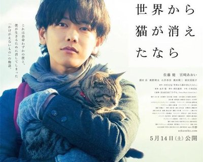 《如果我留下》电影解说文案