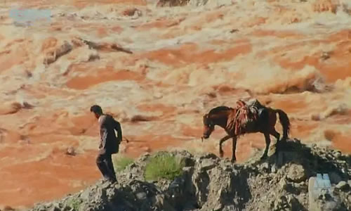 电影《香巴拉信使》解说文案