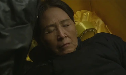 电影《守灵》解说文案