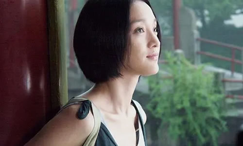 电影《鸳鸯蝴蝶》解说文案