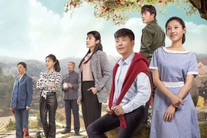 电视剧《远方的山楂树》48集剧电视剧解说文案/片源下载