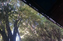 《天无绝人之路》电影解说文案