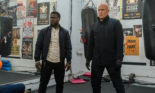 电影《唬胆特工》解说文案