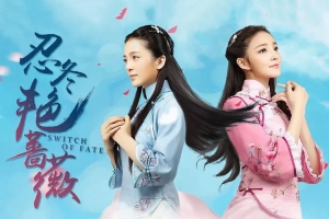 电视剧《忍冬艳蔷薇》46集电视剧解说文案/片源下载