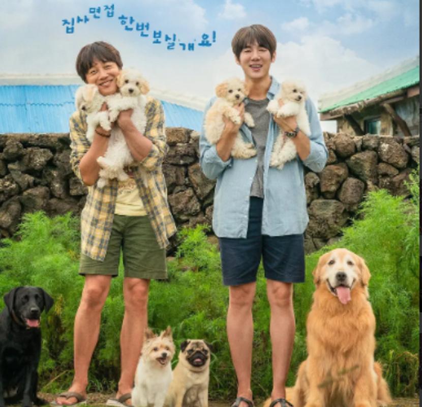 《小奶狗》电影解说文案