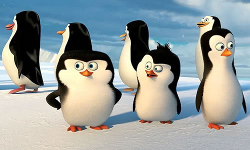 电影《马达加斯加的企鹅》解说文案