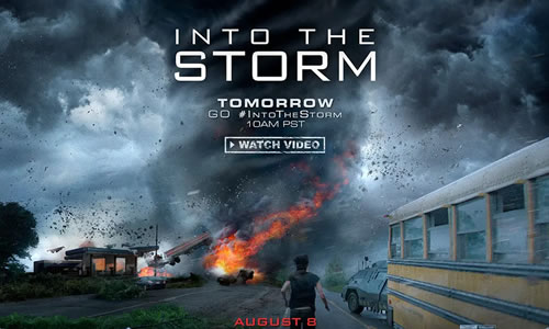 电影《不惧风暴》解说文案