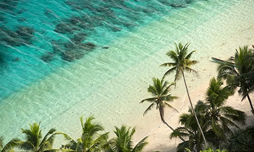 电影《惊涛飓浪》解说文案