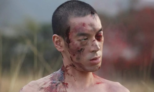 电影《复仇者之死》解说文案