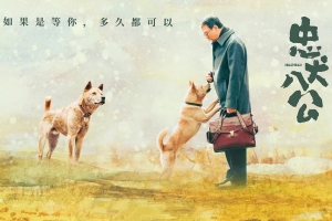 剧情电影《忠犬八公》解说文案/片源下载