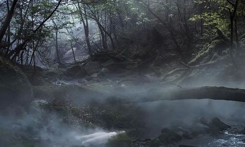 电影《看不见的守护者》解说文案