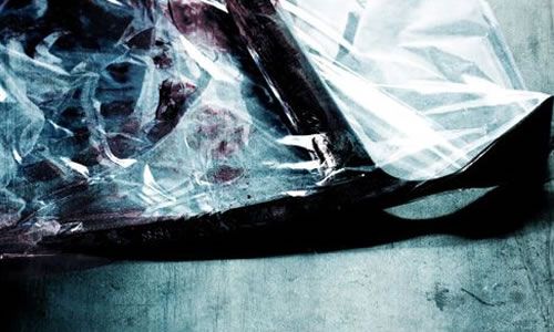 电影《雪山惊魂2》解说文案