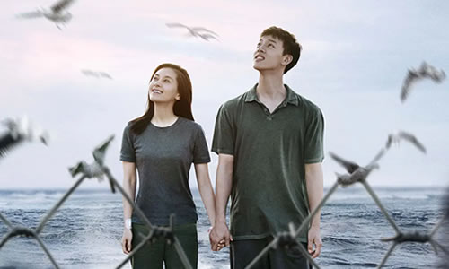 电影《温柔壳》解说文案