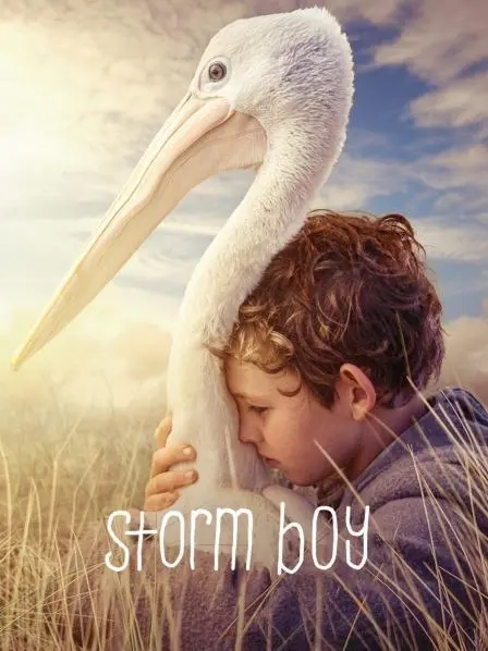 《男孩与鹈鹕》电影解说文案