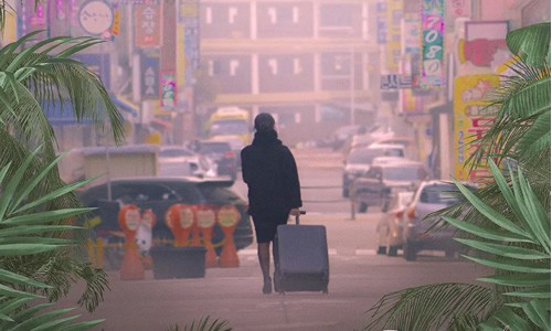 电影《首尔夜女郎》解说文案