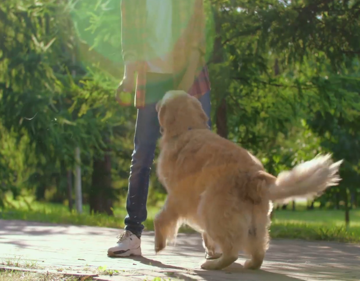 情感人物视频素材