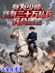 身为少帅，我有三十万私兵合理吧 短视频解说文案全集1-10章短视频解说文案