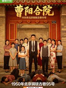 《四合院：签到系统，铜锣巷虐渣》小说改编短剧解说文案 全网独家下载